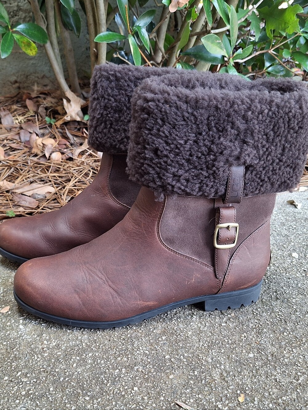 UGG Women's "Bellvue Brown Leather Shearling Cuff Buckle Boots